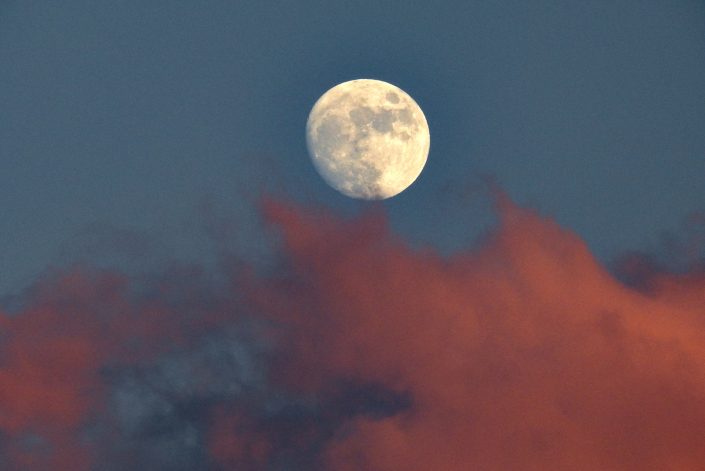 Luna a Roca vecchia. Costa adriatica del Salento.