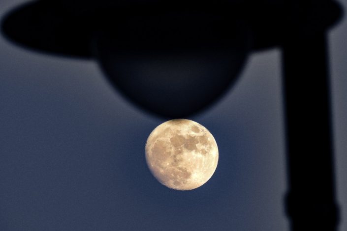 Luna a Roca vecchia. Costa adriatica del Salento.