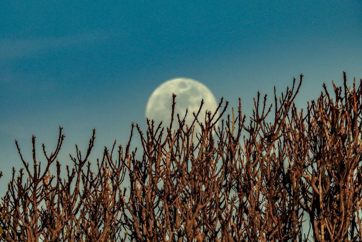 Luna a Roca vecchia. Costa adriatica del Salento.