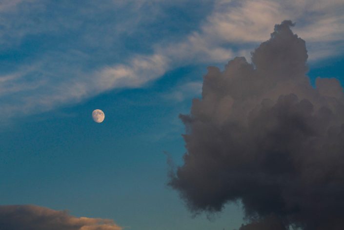 Luna alla Purità. Gallipoli