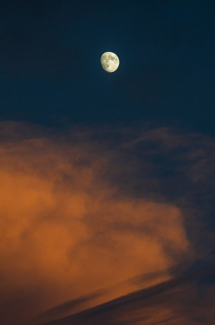 Luna alla Purità. Gallipoli.