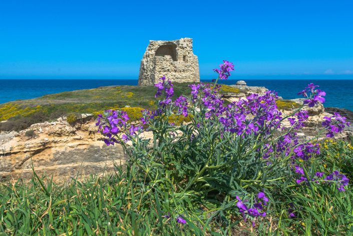 La Torre di Roca.