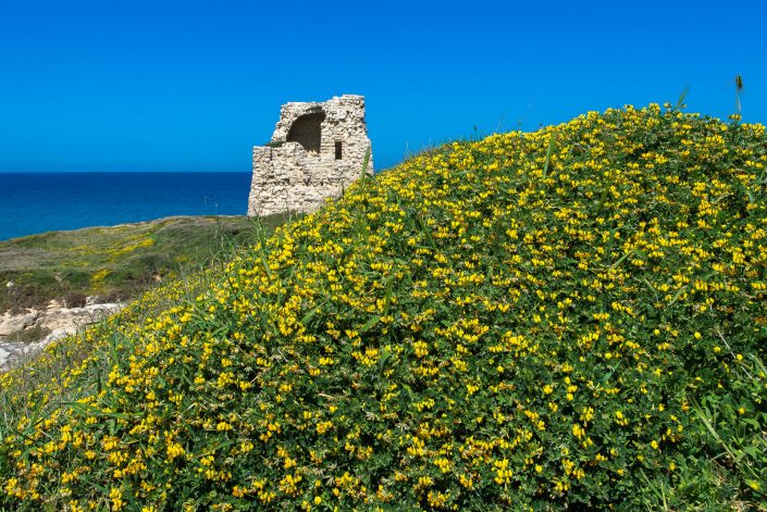 La Torre di Roca.