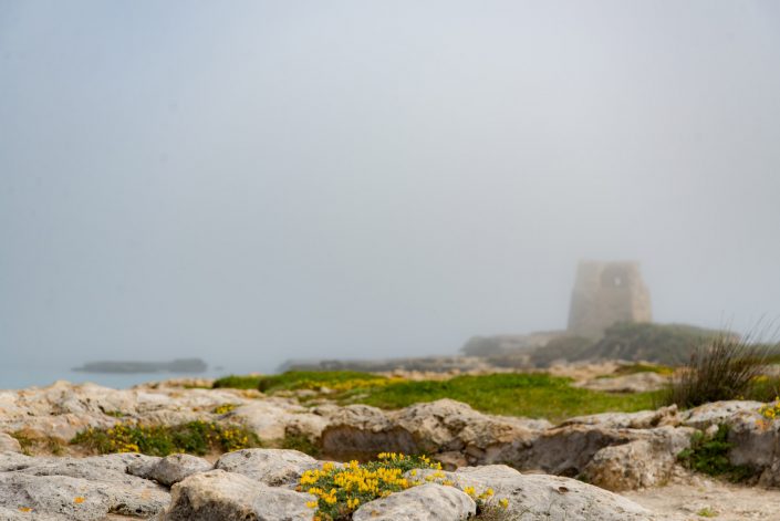 La Torre di Roca.