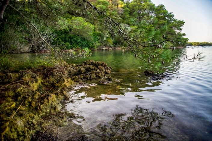 Laghi Alimini. Otranto.