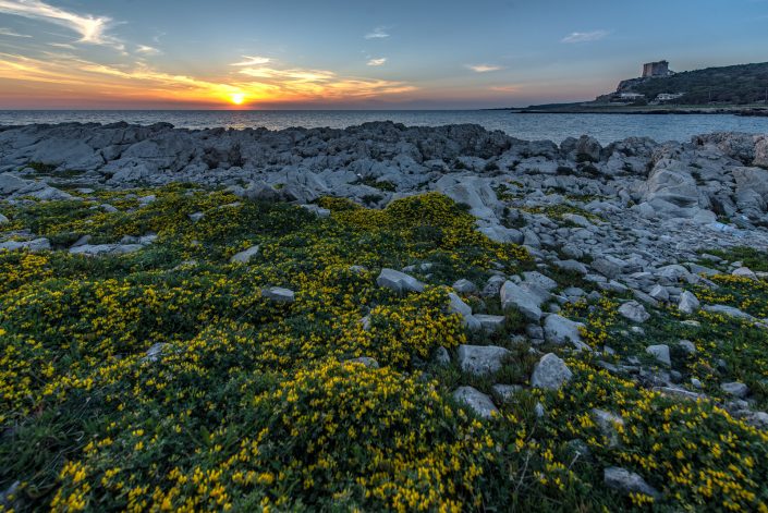 Torre dell'alto. Santa caterina di Nardò.