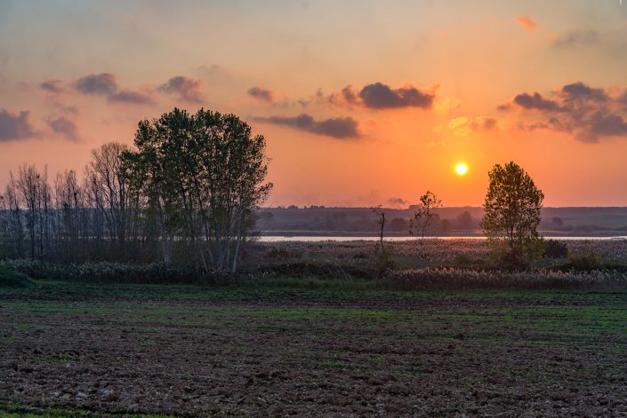 Laghi Alimini. Costa adriatica.