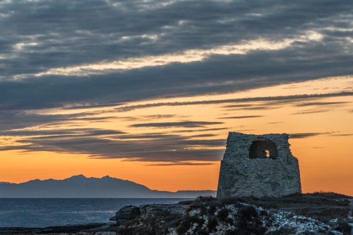 Reportage - L'alba della vita. L'alba di Roca.