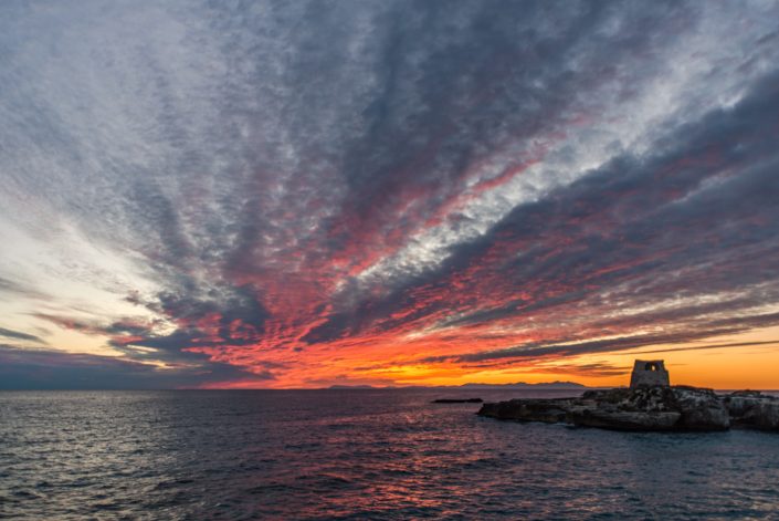 Reportage - L'alba della vita. L'alba di Roca.