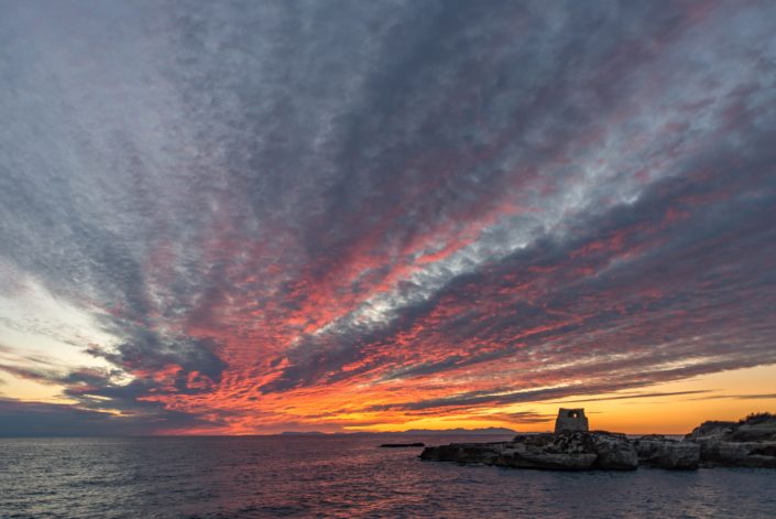 Reportage - L'alba della vita. L'alba di Roca.