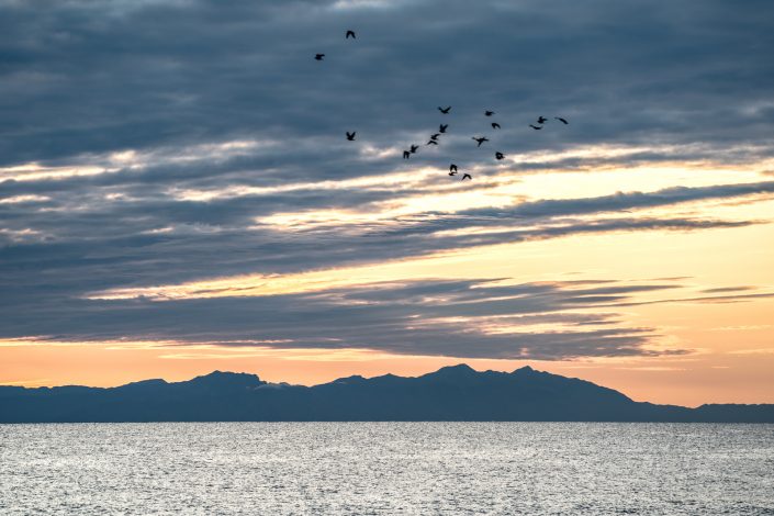 Reportage - L'alba della vita. L'alba di Roca.