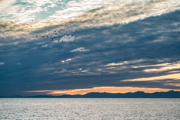 Reportage - L'alba della vita. L'alba di Roca.